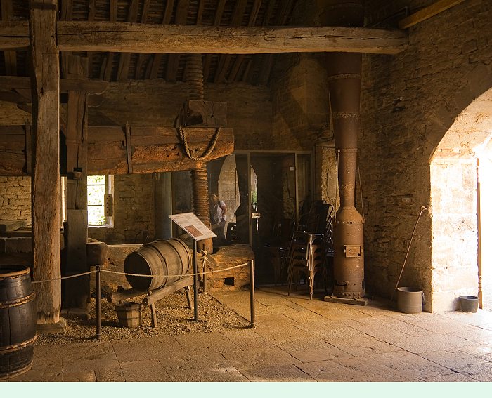 Frankreich/Burgund/Beaune/2008