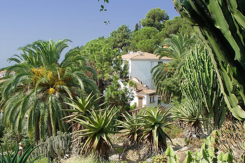 Spanien/Costa Brava/Blanes/Jard� Bot�nico Marimurtra/2006