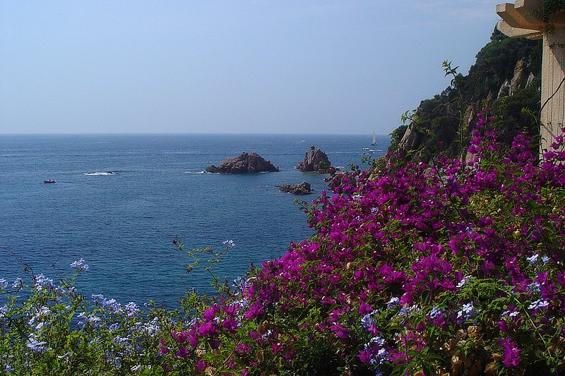 Spanien/Costa Brava/Blanes/Jard� Bot�nico Marimurtra/2006