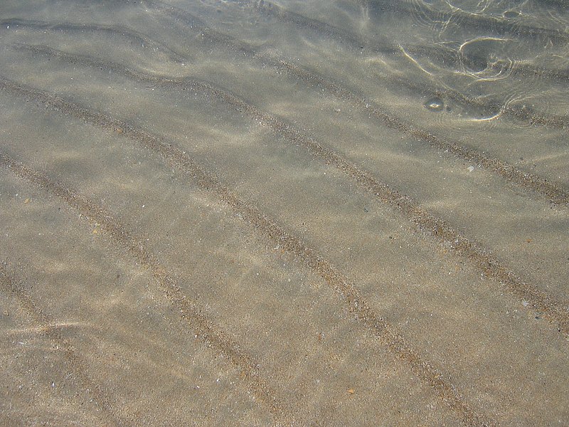 Frankreich/Languedoc Roussillon/Marseillan Plage/2005