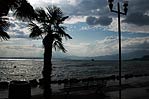 Italien/Veneto/Lago di Garda/Cisano/2009 [1434 views]